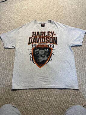 Harley-Davidson Graphic T-Shirt in Gray - L
